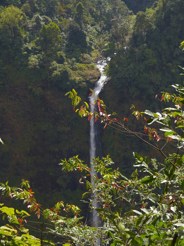 Bolaven Plateau